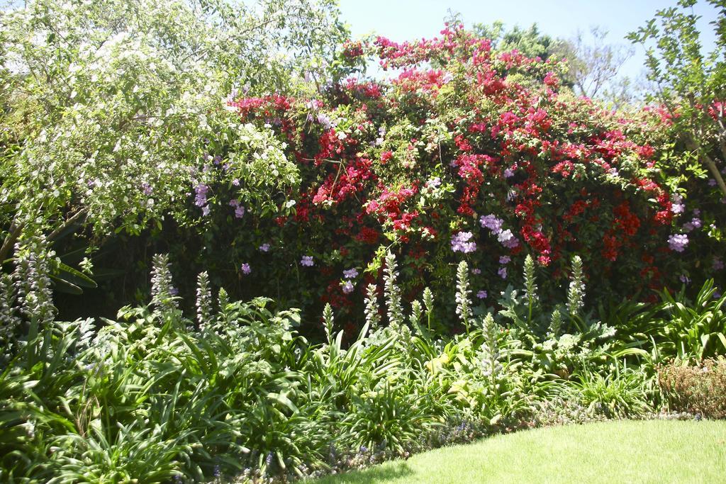 Melville Manor Guest House Johannesburg Exterior foto