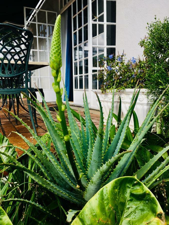 Melville Manor Guest House Johannesburg Exterior foto